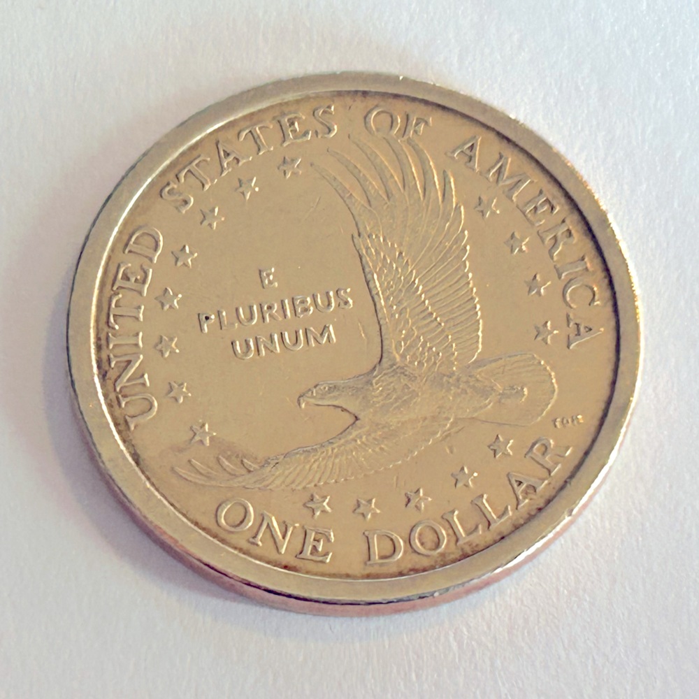 2000-P Sacagawea Dollar with mother and baby on back and eg Eagle!